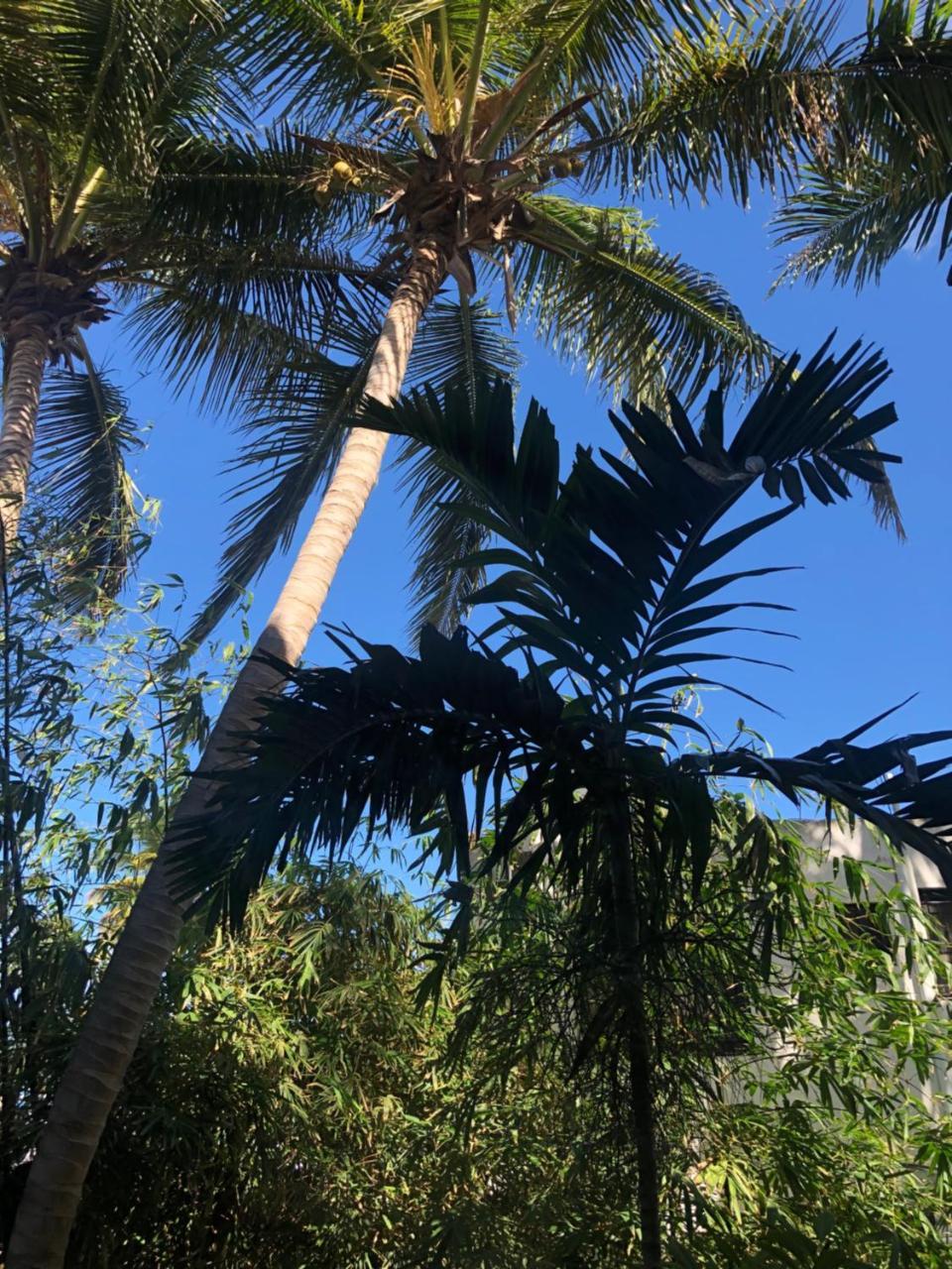 Villa Florencia Bavaro Punta Cana Esterno foto